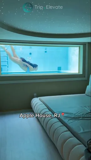 Experiência vídeo