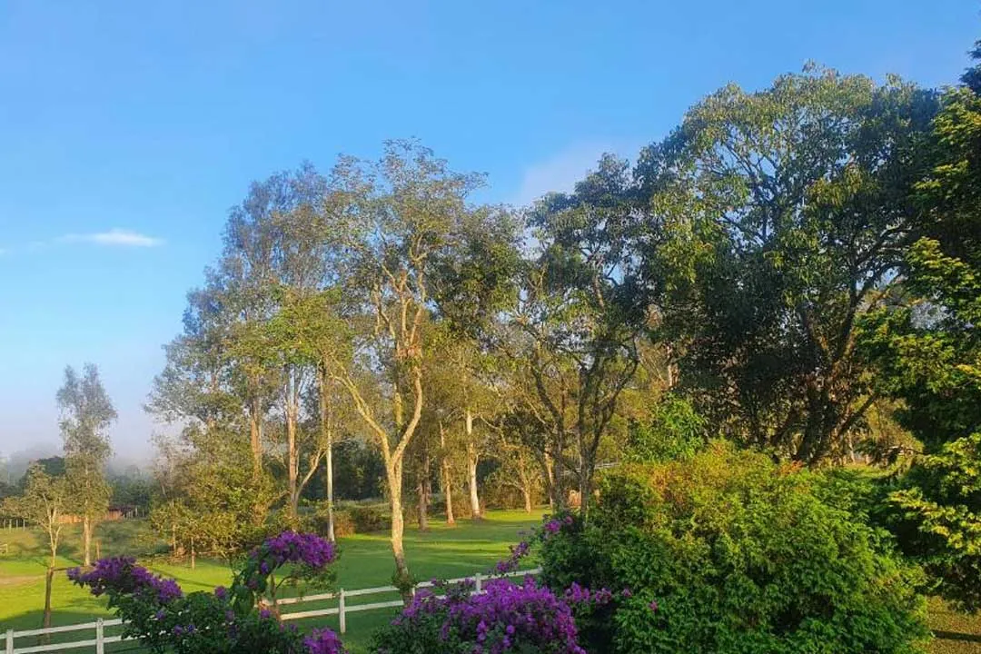 Hotel Fazenda Pedra Selada em Visconde de Mauá